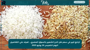 تراجع كبير في سعر طن الأرز الشعير بالسوق المصري.. تعرف على التفاصيل اليوم الخميس 24 يوليو 2025